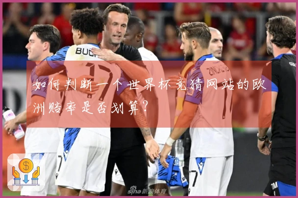 如何判断一个世界杯竞猜网站的欧洲赔率是否划算？