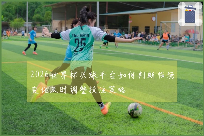 2026世界杯买球平台如何判断临场变化及时调整投注策略