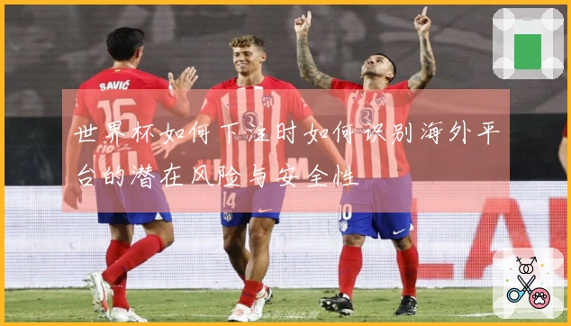 世界杯如何下注时如何识别海外平台的潜在风险与安全性