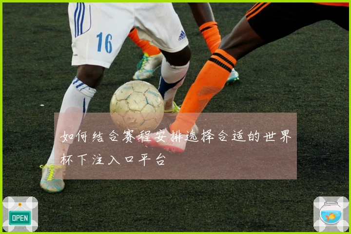 如何结合赛程安排选择合适的世界杯下注入口平台