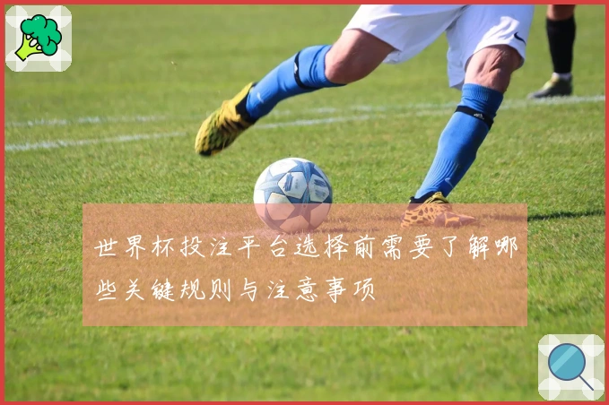 世界杯投注平台选择前需要了解哪些关键规则与注意事项
