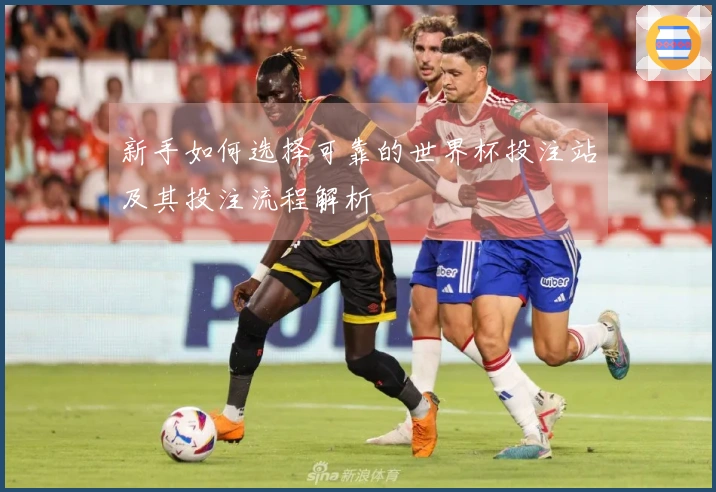 新手如何选择可靠的世界杯投注站及其投注流程解析