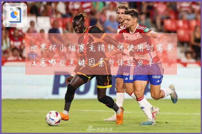 世界杯小组赛竞猜软件使用时需要注意哪些关键因素与体验分享