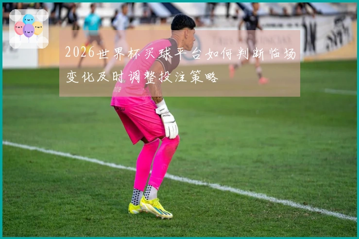 2026世界杯买球平台如何判断临场变化及时调整投注策略