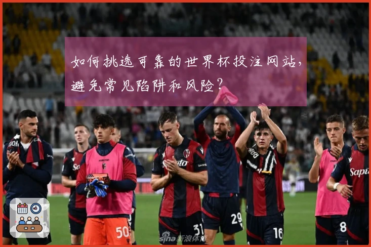 如何挑选可靠的世界杯投注网站，避免常见陷阱和风险？