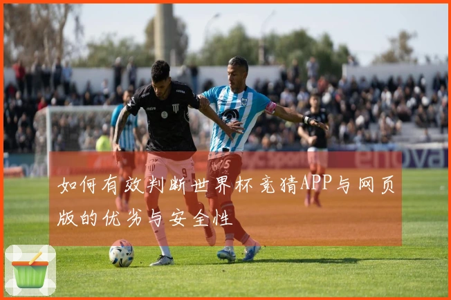 如何有效判断世界杯竞猜APP与网页版的优劣与安全性