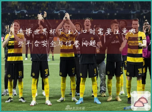 选择世界杯下注入口时需要注意哪些平台安全与信誉问题