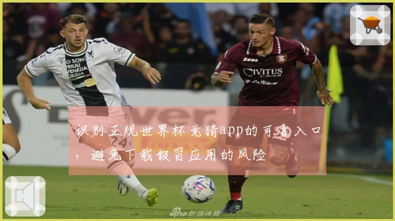 识别正规世界杯竞猜app的可靠入口，避免下载假冒应用的风险