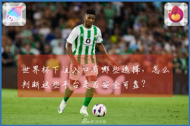 世界杯下注入口有哪些选择，怎么判断这些平台是否安全可靠？