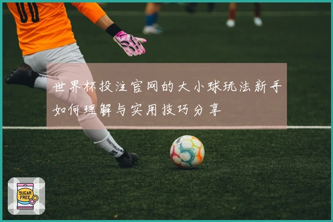世界杯投注官网的大小球玩法新手如何理解与实用技巧分享