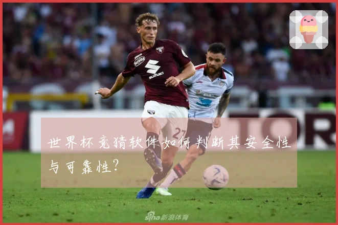 世界杯竞猜软件如何判断其安全性与可靠性？