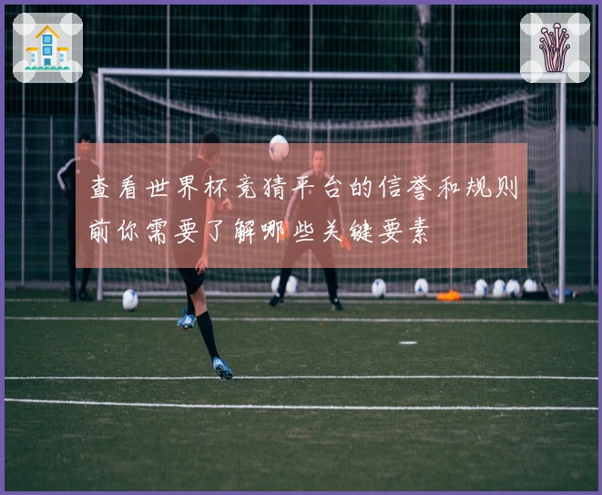 查看世界杯竞猜平台的信誉和规则前你需要了解哪些关键要素