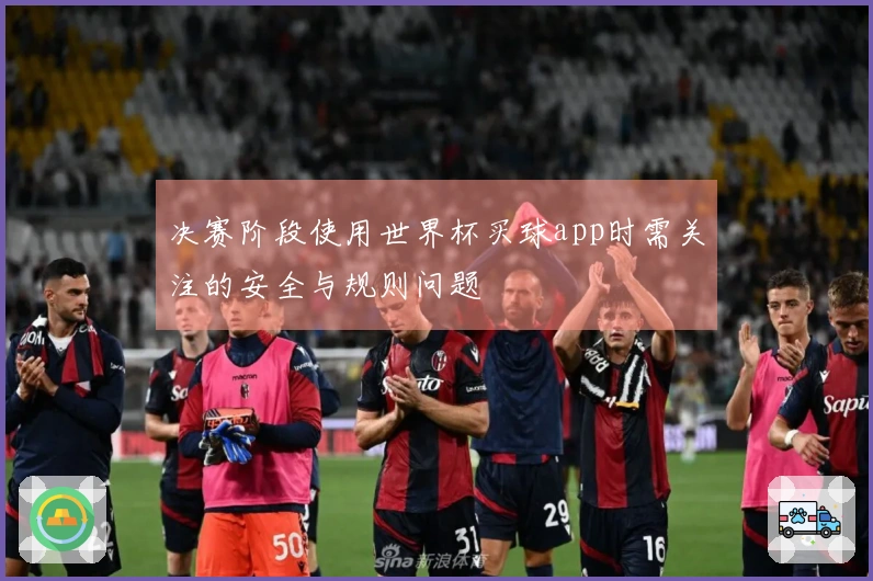 决赛阶段使用世界杯买球app时需关注的安全与规则问题