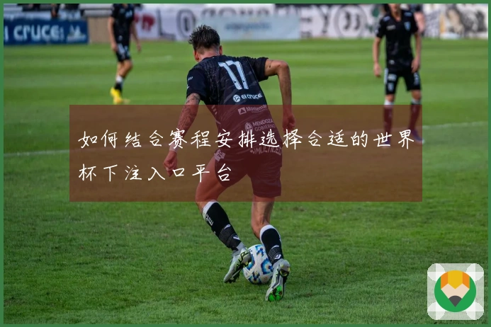 如何结合赛程安排选择合适的世界杯下注入口平台