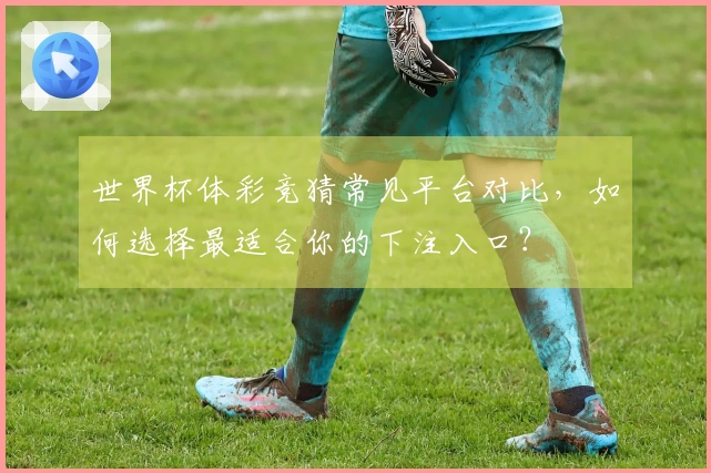 世界杯体彩竞猜常见平台对比，如何选择最适合你的下注入口？
