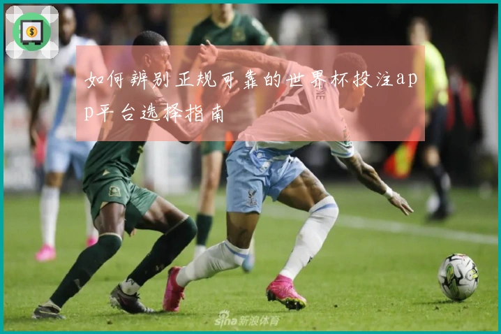 如何辨别正规可靠的世界杯投注app平台选择指南