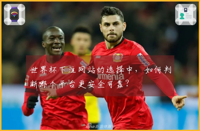 世界杯下注网站的选择中，如何判断哪个平台更安全可靠？