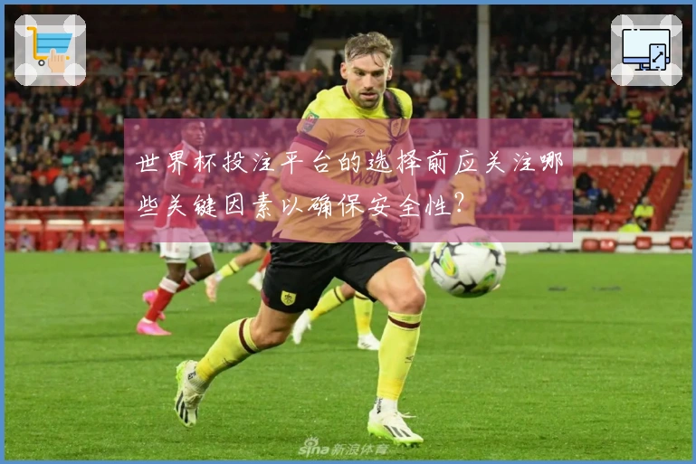世界杯投注平台的选择前应关注哪些关键因素以确保安全性？
