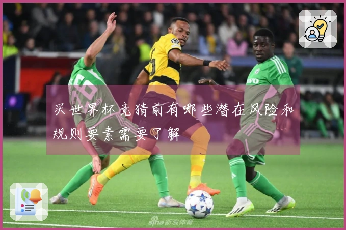 买世界杯竞猜前有哪些潜在风险和规则要素需要了解