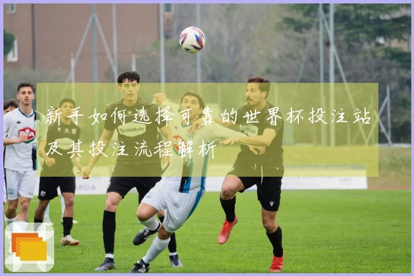 新手如何选择可靠的世界杯投注站及其投注流程解析