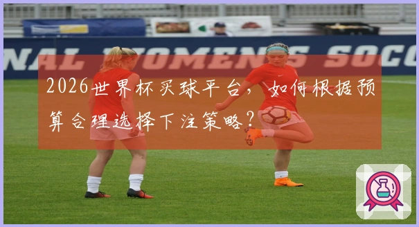2026世界杯买球平台,如何根据预算合理选择下注策略?