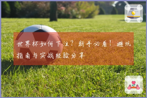 世界杯如何下注？新手必看！避坑指南与实战经验分享