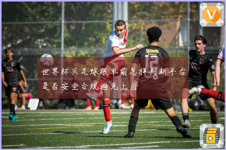 世界杯买足球跟单前怎样判断平台是否安全合规避免上当