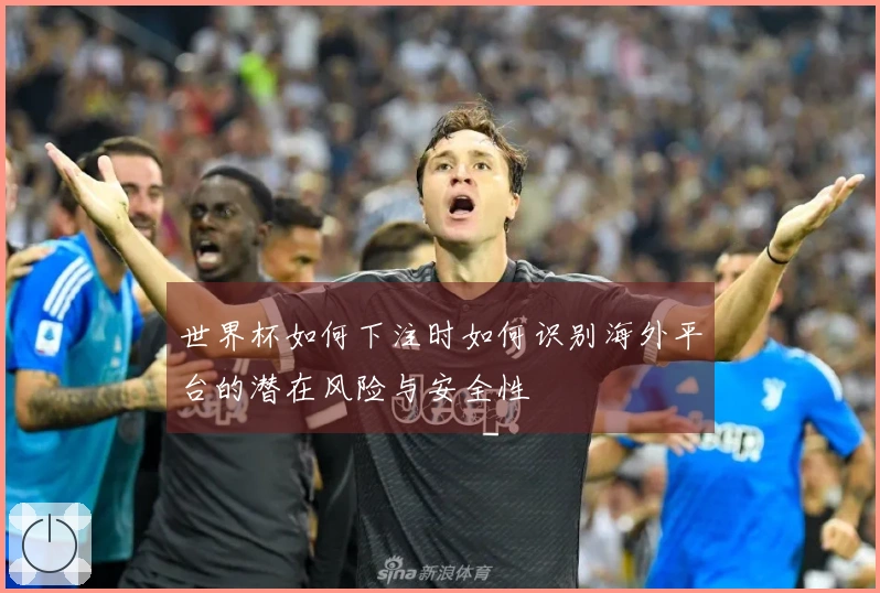 世界杯如何下注时如何识别海外平台的潜在风险与安全性