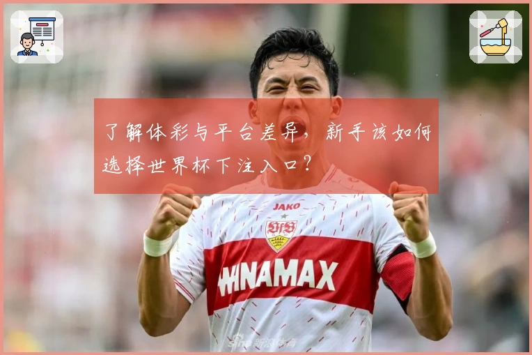 了解体彩与平台差异，新手该如何选择世界杯下注入口？