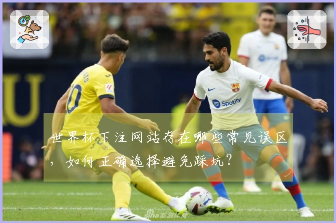世界杯下注网站存在哪些常见误区，如何正确选择避免踩坑？