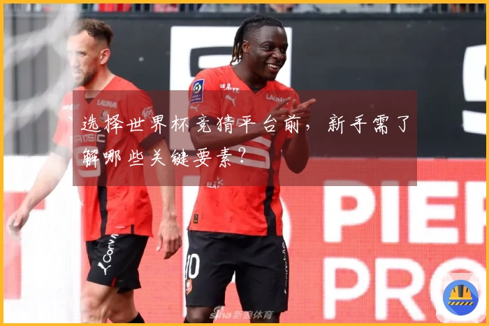 选择世界杯竞猜平台前，新手需了解哪些关键要素？