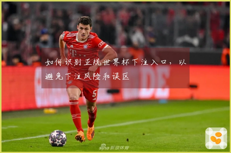 如何识别正规世界杯下注入口，以避免下注风险和误区