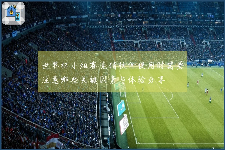 世界杯小组赛竞猜软件使用时需要注意哪些关键因素与体验分享