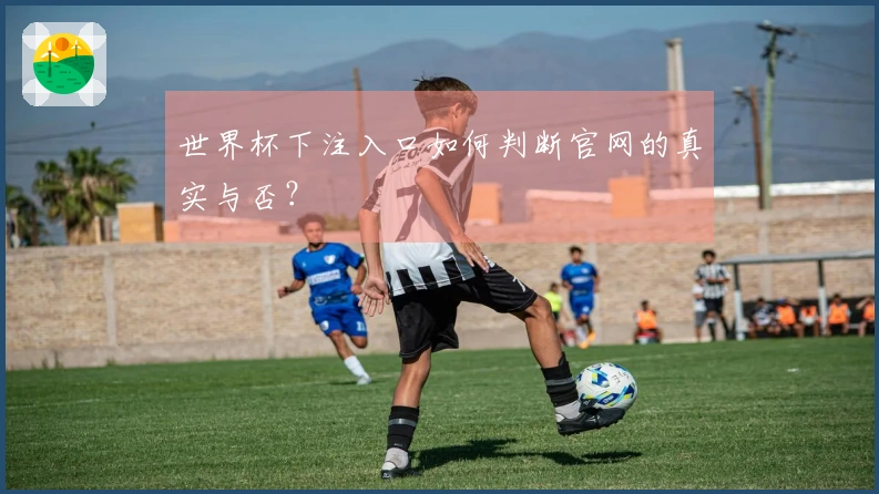 世界杯下注入口如何判断官网的真实与否?