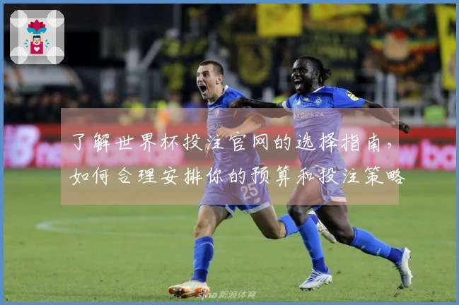 了解世界杯投注官网的选择指南,如何合理安排你的预算和投注策略