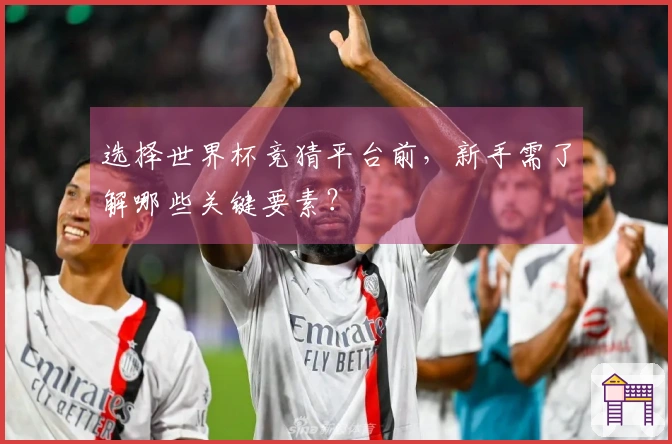 选择世界杯竞猜平台前，新手需了解哪些关键要素？