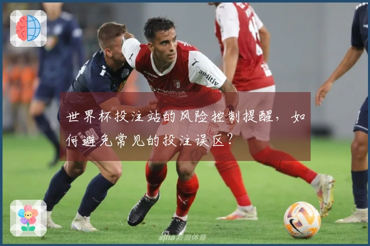 世界杯投注站的风险控制提醒，如何避免常见的投注误区？