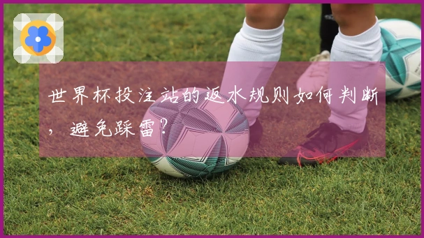 世界杯投注站的返水规则如何判断，避免踩雷？