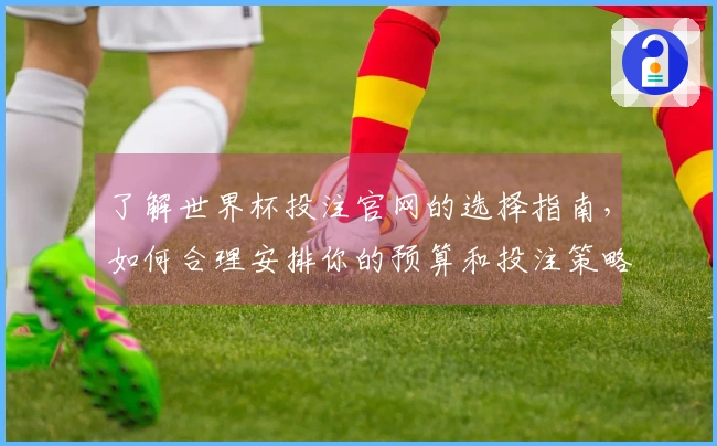 了解世界杯投注官网的选择指南，如何合理安排你的预算和投注策略