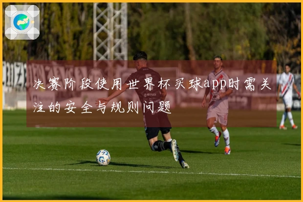 决赛阶段使用世界杯买球app时需关注的安全与规则问题