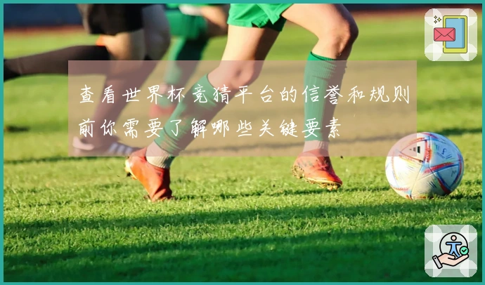 查看世界杯竞猜平台的信誉和规则前你需要了解哪些关键要素