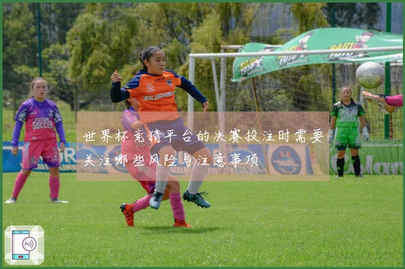 世界杯竞猜平台的决赛投注时需要关注哪些风险与注意事项