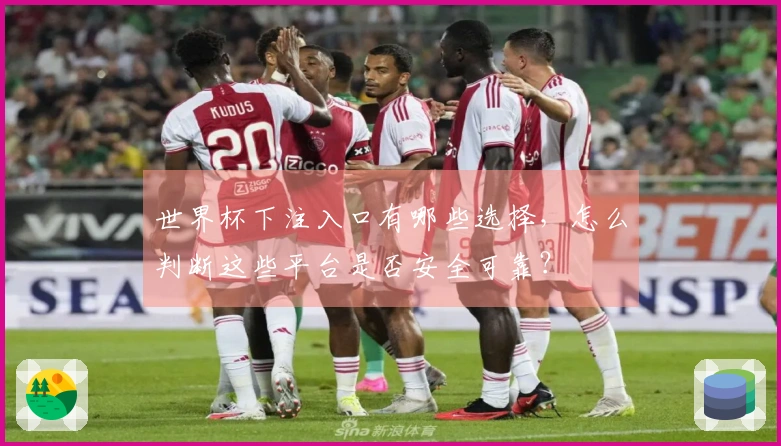 世界杯下注入口有哪些选择,怎么判断这些平台是否安全可靠?