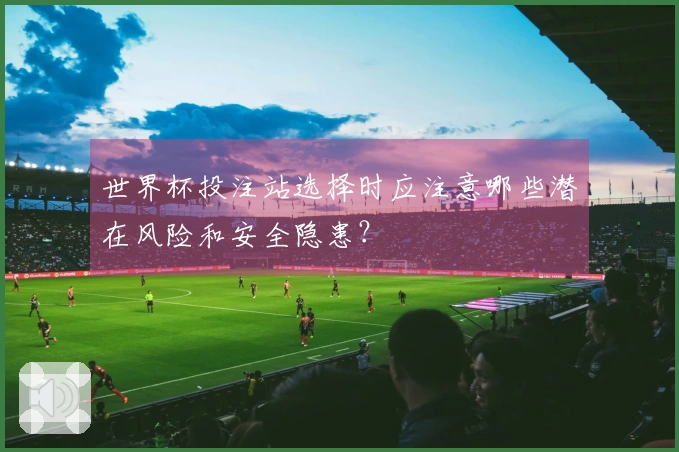 世界杯投注站选择时应注意哪些潜在风险和安全隐患？