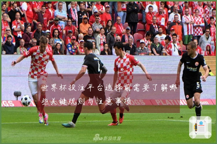 世界杯投注平台选择前需要了解哪些关键规则与注意事项